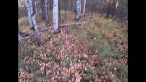 Как найти сувель,кап в лесу.Реальное видео.