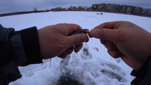 Зимняя рыбалка. Рыбалка на Истринском Вдхр .... И рыба есть и ЛОСИ по льду бегают !!!!!!!! смотреть онлайн