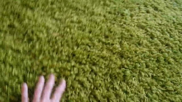 Моющий пылесос Karcher puzzi 8/1C. Опыт эксплуатации. Karcher SE 6.100