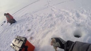 БЕШЕНЫЙ КЛЕВ НА  БЕЗМОТЫЛКУ! ВОТ ЭТО РЫБАЛКА!!!