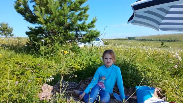 Ездила за Ягодами - как собираю Луговую Клубнику (сильный ветер :-( смотреть онлайн