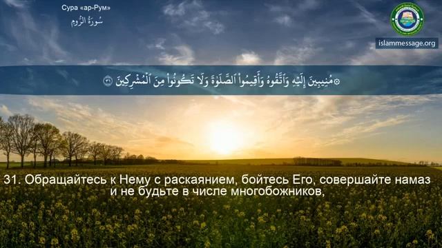 30. _Сура_ ❤️Ар-Рум❤️ Мишари Рашид смотреть онлайн