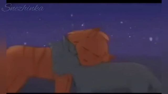 Жёлудь и Синяя звезда ★клип★ «Сердцеедка» смотреть онлайн