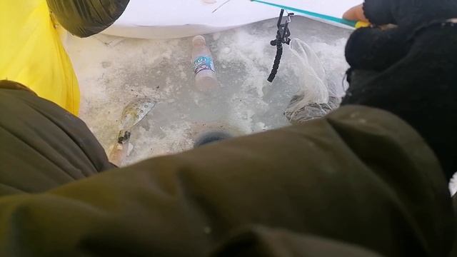 РЫБАЛКА В РОЖДЕСТВО? Нашли стаю КРУПНОГО ЧЕБАКА!!! Ловля ЩУКИ НА ЖЕРЛИЦЫ! РЫБАЛКА НА БЕЗНАСАДКУ? смотреть онлайн