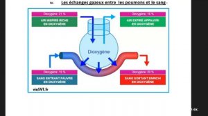 Cours_Complet_SVT_3ième//LA RESPIRATION CHEZ L’ESPÈCE HUMAINE//M. Diallo