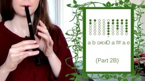 Lord Of The Rings - Concerning Hobbits - BEGINNERS TIN WHISTLE TUTORIAL