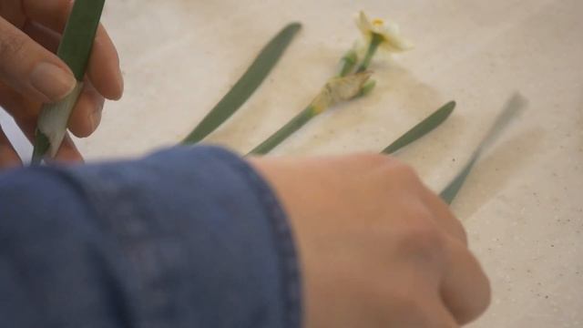 【生け花】愚痴？もやもやにお付き合いくださる嬉しいです。字幕の有無は画面右上で調整してください。 смотреть онлайн