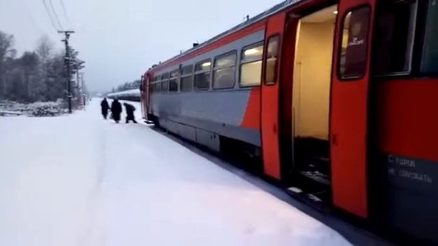 Станция Опухлики