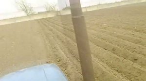 Садим картоплю 2х рядной сажалкой