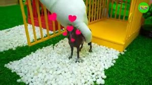 Baby Animals Meet Green Aliens - Rhino, Horse, Elephant, Tiger and Lion