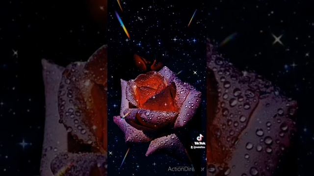 Натали ночью