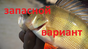 ЗАПАСНОЙ ВАРИАНТ