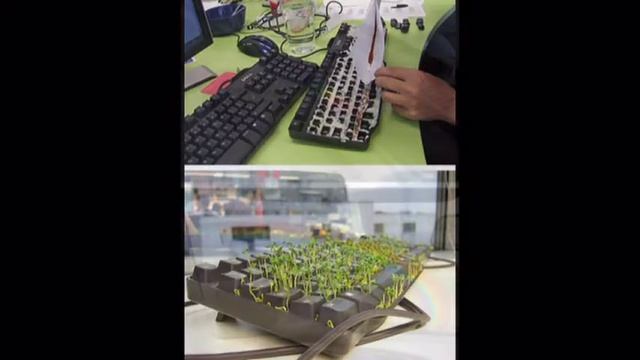 1 апрельские шутки смотреть онлайн