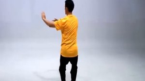 Simplified Tai Chi 24: Reverse View