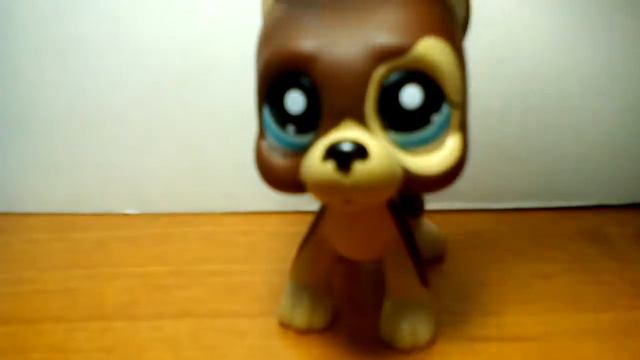 Смотреть всем!!! Правда или действие пишите в комменты задания смотреть онлайн