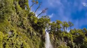 Сураи Нисо ба забони точики