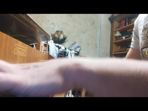 БГ. Альтернатива