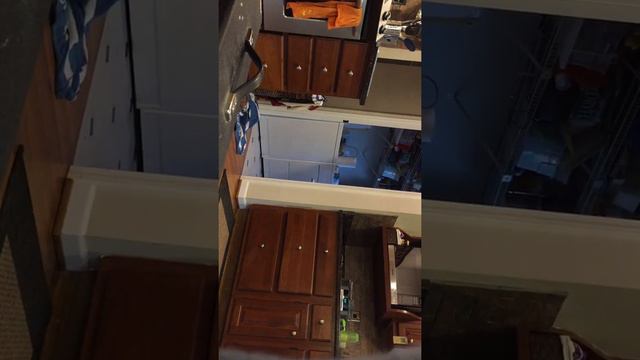 Used '65 Deluxe Reverb Reissue: Fizz смотреть онлайн