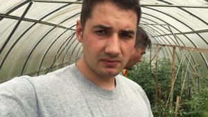 Бурая пятнистость листьев