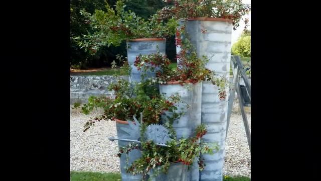 visite au château st jean de beauregard pour la fête des plantes смотреть онлайн
