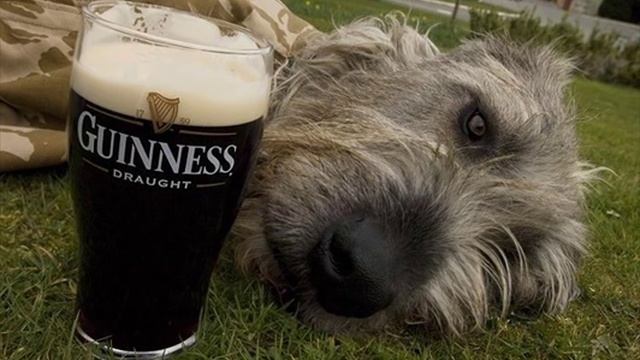 Puck and Piper - Каменистая дорога смотреть онлайн