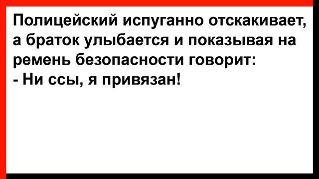 Кума, а хочешь попробовать чл...н по толще? Анекдоты! Юмор! Позитив!