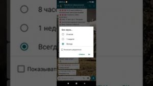 Как отключить загрузку медиа и звук в чате Whatsapp