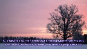 Сура «аль-Бакара аяты 28-59» - Красивое чтение Корана