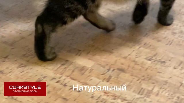 Тестируем пробковый пол Corkstyle: это теплый пол без подогрева. Пробковый ламинат для тишины в дом смотреть онлайн