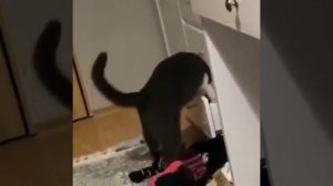 Когда ищешь утром второй носок