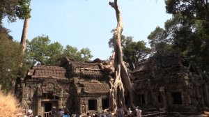 ХРАМ ТА ПРОМ – ХРАМ АНДЖЕЛИНЫ ДЖОЛИ (Angelina Jolie. The Ta Prohm Тemple. Angkor. Cambodia) (3)