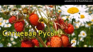 Ситцевая Русь Слова и музыка:Елена Павлова Аранж,вокал А.Волченко©