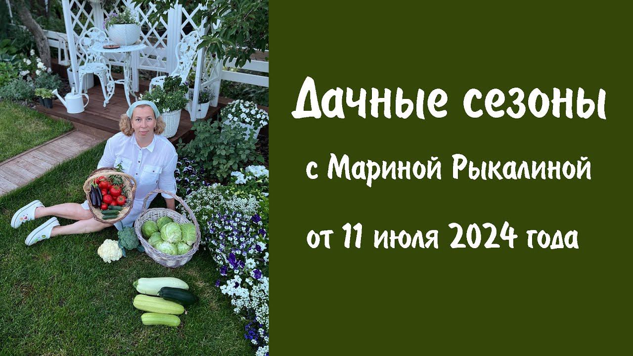 Дачные сезоны с Мариной Рыкалиной от 11 июля 2024 года