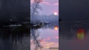 ♥️ Сергей Завьялов - Ивушка♥️