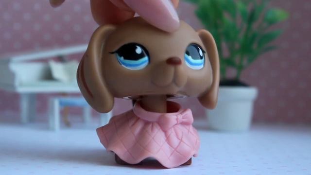 𝑳𝑷𝑺 : Советы начинающим lps-блогерам(Совместно с LPS Sanches и Lps Toffee)