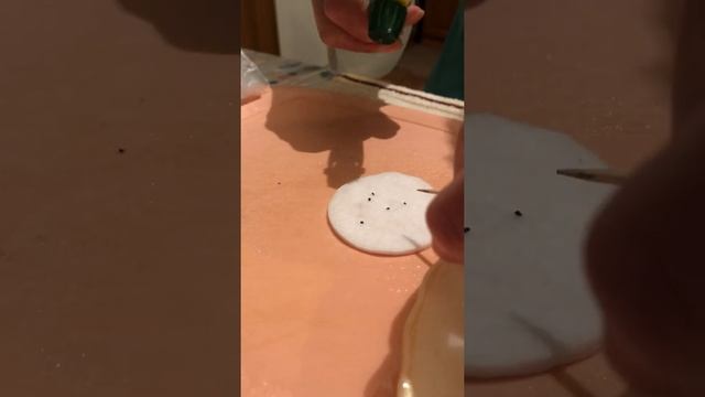 Стратификация Лаванды DIY #садсвоимируками #садоводство #мойлюбимыйсад
