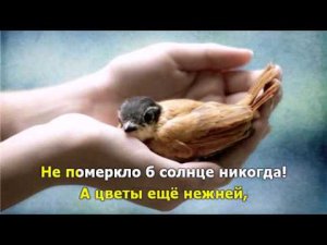 Горы, море и холмы