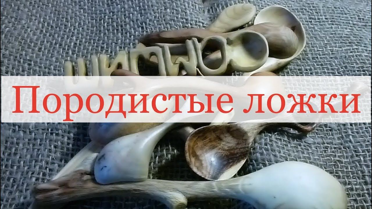 Породистые ложки