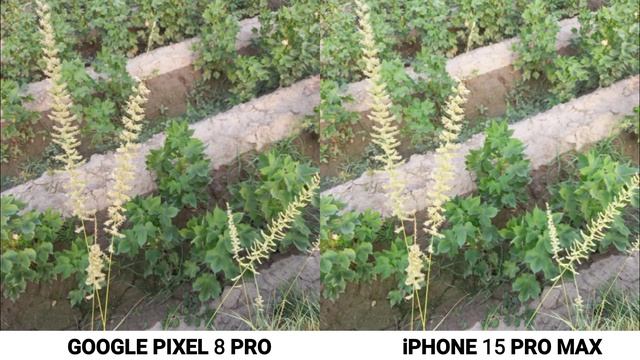 Google Pixel 8 Pro VS iPhone 15 Pro Max Camera Test смотреть онлайн