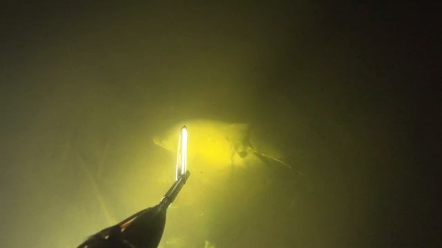 Подводные охоты в августе на Днепре 2021 Лещ, Язь, Щука, Судак смотреть онлайн