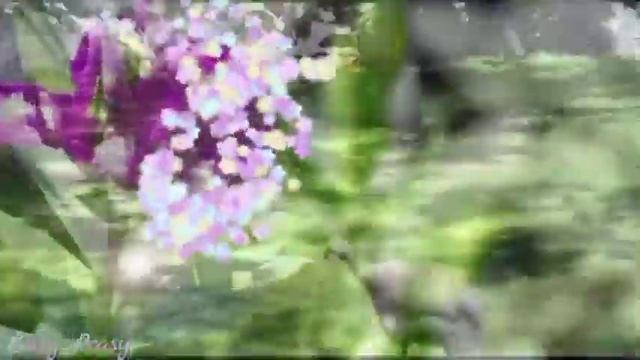 ???Доброго утра благословенного дня!??Отличной недели!?Красивое музыкальное пожелание?