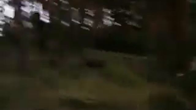 Лакомка смотреть онлайн