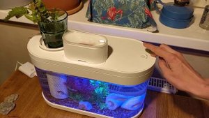 Купила Аквариум Xiaomi Geometry C Series Smart Fish Tank Pro