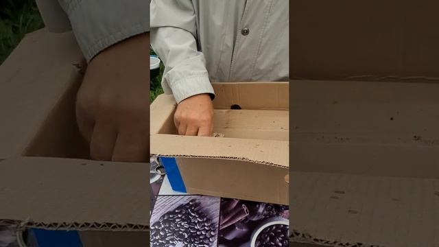 отзыв получила посылку Сады Эдема