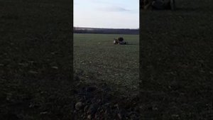 ловля зайца руками летом How to catch a rabbit 2