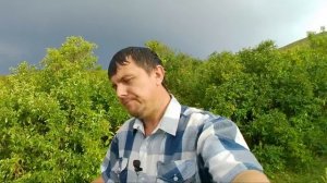 Сектор газа и Красная плесень ? чем отличаются две культовые группы 90х