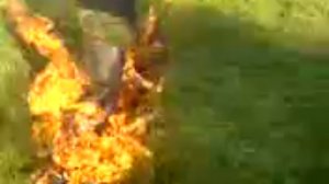 Сапоги скороходы