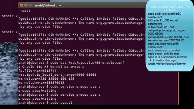 Instalación de Oracle 11g Express en Ubuntu смотреть онлайн