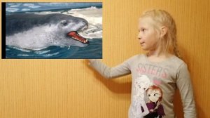 01 Морской леопард