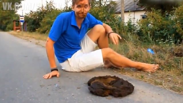Жизнь обычной какашки